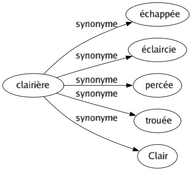 Synonyme de Clairière : Échappée Éclaircie Percée Trouée Clair 