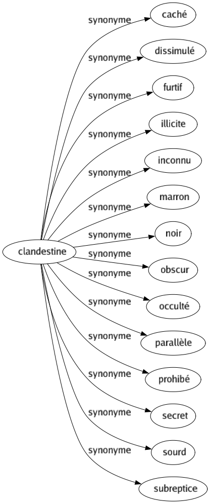 Synonyme de Clandestine : Caché Dissimulé Furtif Illicite Inconnu Marron Noir Obscur Occulté Parallèle Prohibé Secret Sourd Subreptice 