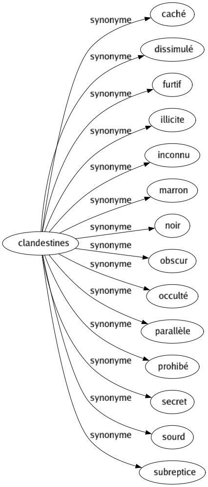 Synonyme de Clandestines : Caché Dissimulé Furtif Illicite Inconnu Marron Noir Obscur Occulté Parallèle Prohibé Secret Sourd Subreptice 