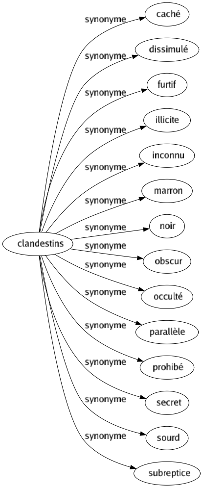 Synonyme de Clandestins : Caché Dissimulé Furtif Illicite Inconnu Marron Noir Obscur Occulté Parallèle Prohibé Secret Sourd Subreptice 