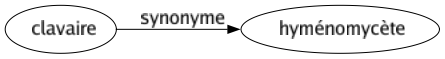 Synonyme de Clavaire : Hyménomycète 