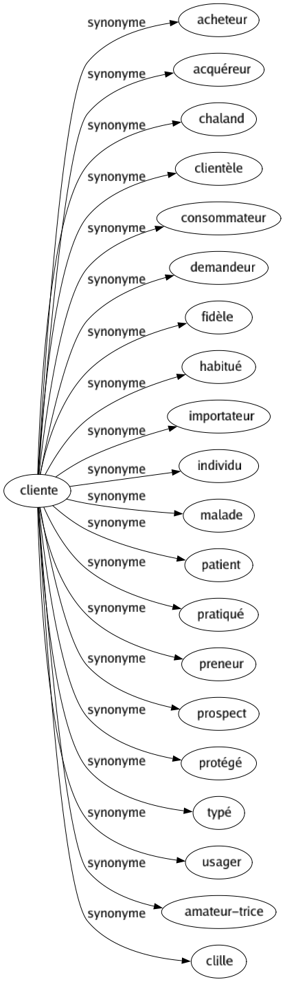 Synonyme de Cliente : Acheteur Acquéreur Chaland Clientèle Consommateur Demandeur Fidèle Habitué Importateur Individu Malade Patient Pratiqué Preneur Prospect Protégé Typé Usager Amateur-trice Clille 