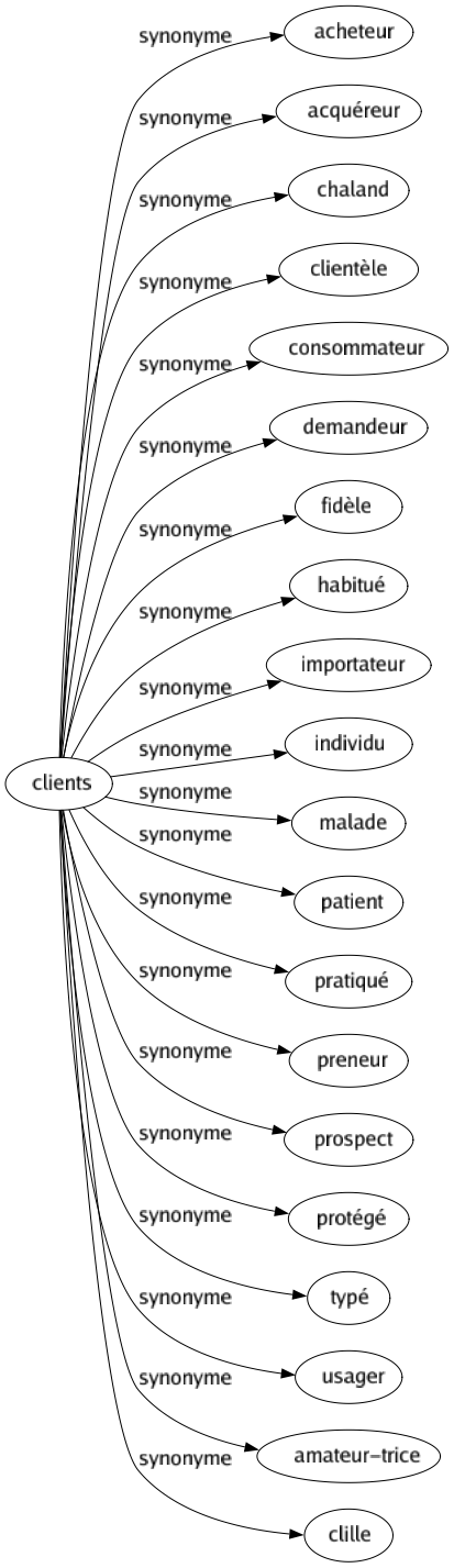 Synonyme de Clients : Acheteur Acquéreur Chaland Clientèle Consommateur Demandeur Fidèle Habitué Importateur Individu Malade Patient Pratiqué Preneur Prospect Protégé Typé Usager Amateur-trice Clille 