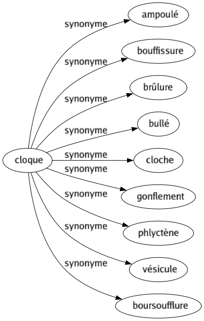 Synonyme de Cloque : Ampoulé Bouffissure Brûlure Bullé Cloche Gonflement Phlyctène Vésicule Boursoufflure 