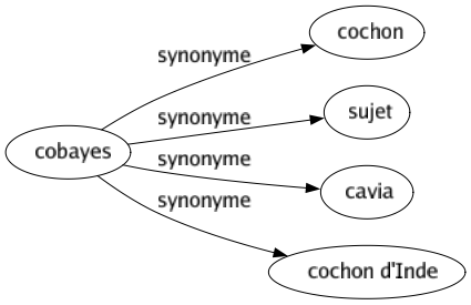 Synonyme de Cobayes : Cochon Sujet Cavia Cochon d'inde 