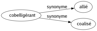 Synonyme de Cobelligérant : Allié Coalisé 