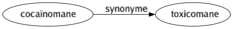 Synonyme de Cocaïnomane : Toxicomane 