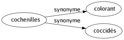 Synonyme de Cochenilles : Colorant Coccidés 