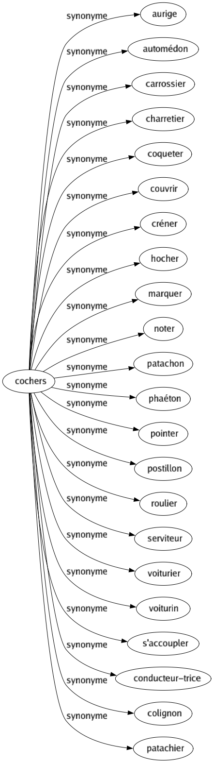 Synonyme de Cochers : Aurige Automédon Carrossier Charretier Coqueter Couvrir Créner Hocher Marquer Noter Patachon Phaéton Pointer Postillon Roulier Serviteur Voiturier Voiturin S'accoupler Conducteur-trice Colignon Patachier 