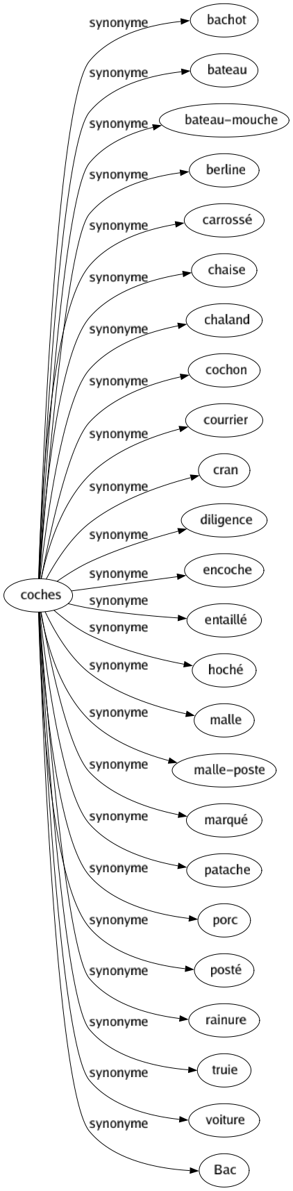 Synonyme de Coches : Bachot Bateau Bateau-mouche Berline Carrossé Chaise Chaland Cochon Courrier Cran Diligence Encoche Entaillé Hoché Malle Malle-poste Marqué Patache Porc Posté Rainure Truie Voiture Bac 