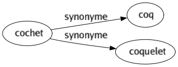 Synonyme de Cochet : Coq Coquelet 