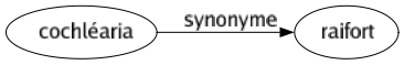 Synonyme de Cochléaria : Raifort 