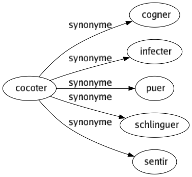 Synonyme de Cocoter : Cogner Infecter Puer Schlinguer Sentir 