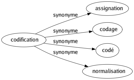 Synonyme de Codification : Assignation Codage Codé Normalisation 