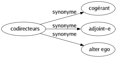 Synonyme de Codirecteurs : Cogérant Adjoint-e Alter ego 