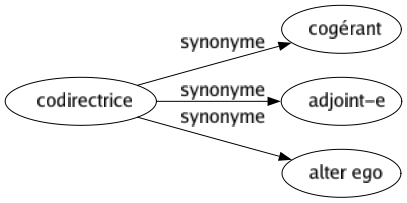 Synonyme de Codirectrice : Cogérant Adjoint-e Alter ego 