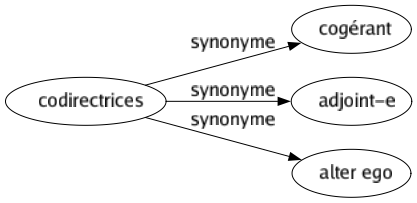 Synonyme de Codirectrices : Cogérant Adjoint-e Alter ego 