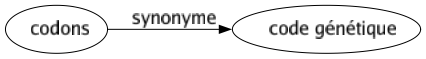 Synonyme de Codons : Code génétique 