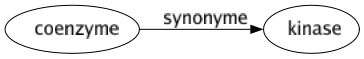 Synonyme de Coenzyme : Kinase 