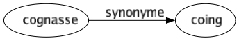 Synonyme de Cognasse : Coing 