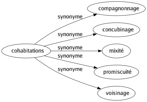 Synonyme de Cohabitations : Compagnonnage Concubinage Mixité Promiscuité Voisinage 