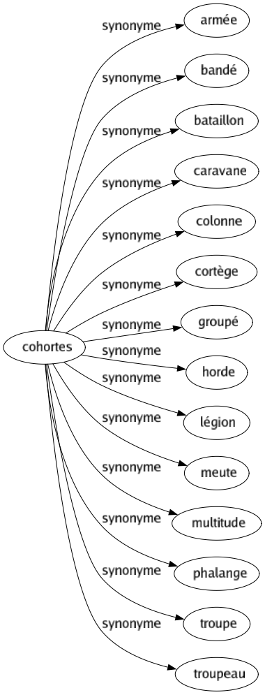 Synonyme de Cohortes : Armée Bandé Bataillon Caravane Colonne Cortège Groupé Horde Légion Meute Multitude Phalange Troupe Troupeau 