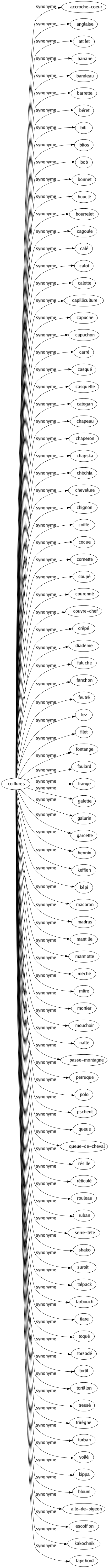 Synonyme de Coiffures : Accroche-coeur Anglaise Attifet Banane Bandeau Barrette Béret Bibi Bitos Bob Bonnet Bouclé Bourrelet Cagoule Calé Calot Calotte Capilliculture Capuche Capuchon Carré Casqué Casquette Catogan Chapeau Chaperon Chapska Chéchia Chevelure Chignon Coiffé Coque Cornette Coupé Couronné Couvre-chef Crêpé Diadème Faluche Fanchon Feutré Fez Filet Fontange Foulard Frange Galette Galurin Garcette Hennin Keffieh Képi Macaron Madras Mantille Marmotte Méché Mitre Mortier Mouchoir Natté Passe-montagne Perruque Polo Pschent Queue Queue-de-cheval Résille Réticulé Rouleau Ruban Serre-tête Shako Suroît Talpack Tarbouch Tiare Toqué Torsadé Tortil Tortillon Tressé Trirègne Turban Voilé Kippa Bloum Aile-de-pigeon Escoffion Kakochnik Tapebord 