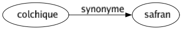 Synonyme de Colchique : Safran 