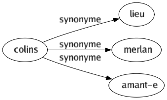 Synonyme de Colins : Lieu Merlan Amant-e 