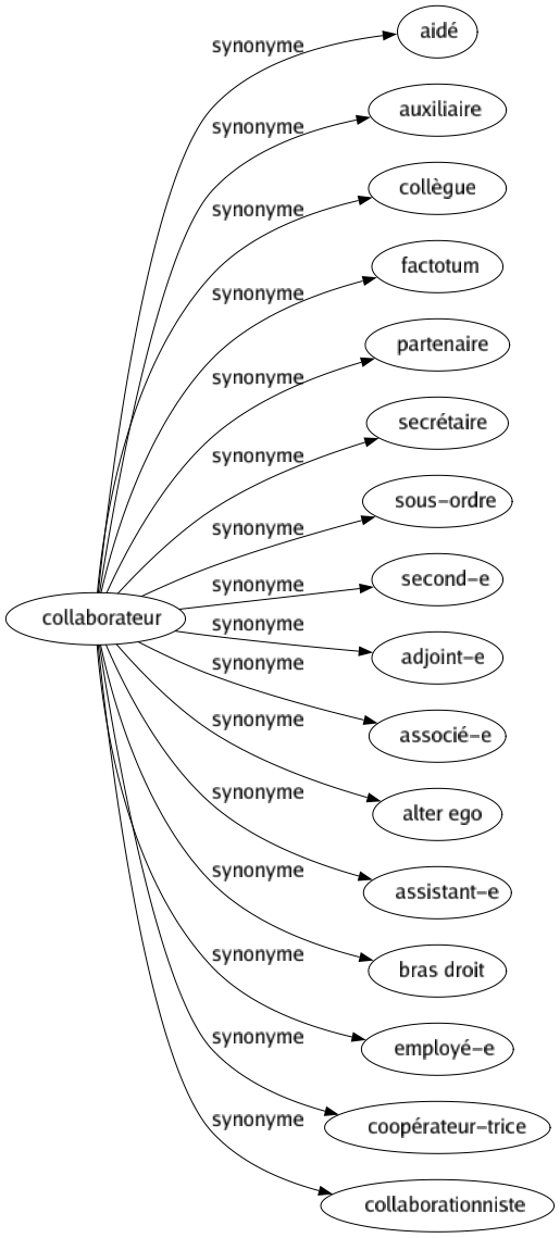 Synonyme de Collaborateur : Aidé Auxiliaire Collègue Factotum Partenaire Secrétaire Sous-ordre Second-e Adjoint-e Associé-e Alter ego Assistant-e Bras droit Employé-e Coopérateur-trice Collaborationniste 