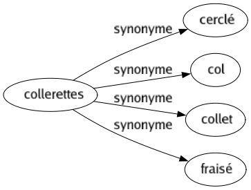 Synonyme de Collerettes : Cerclé Col Collet Fraisé 