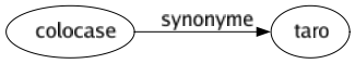 Synonyme de Colocase : Taro 