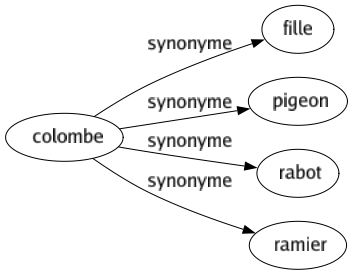 Synonyme de Colombe : Fille Pigeon Rabot Ramier 