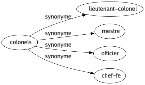 Synonyme de Colonels : Lieutenant-colonel Mestre Officier Chef-fe 