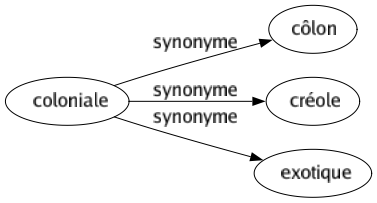 Synonyme de Coloniale : Côlon Créole Exotique 