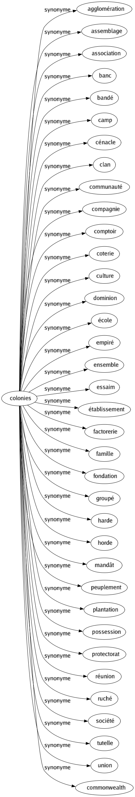 Synonyme de Colonies : Agglomération Assemblage Association Banc Bandé Camp Cénacle Clan Communauté Compagnie Comptoir Coterie Culture Dominion École Empiré Ensemble Essaim Établissement Factorerie Famille Fondation Groupé Harde Horde Mandât Peuplement Plantation Possession Protectorat Réunion Ruché Société Tutelle Union Commonwealth 