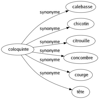 Synonyme de Coloquinte : Calebasse Chicotin Citrouille Concombre Courge Tête 