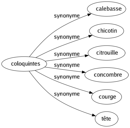 Synonyme de Coloquintes : Calebasse Chicotin Citrouille Concombre Courge Tête 