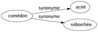 Synonyme de Comédon : Acné Séborrhée 