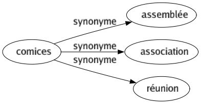 Synonyme de Comices : Assemblée Association Réunion 