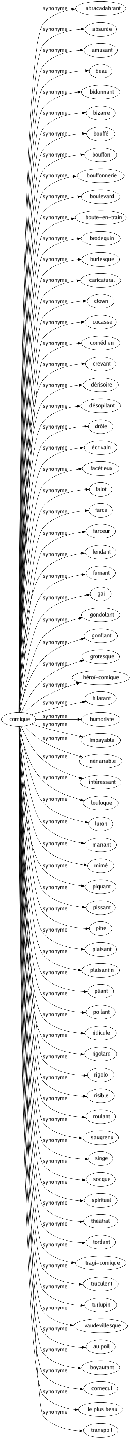 Synonyme de Comique : Abracadabrant Absurde Amusant Beau Bidonnant Bizarre Bouffé Bouffon Bouffonnerie Boulevard Boute-en-train Brodequin Burlesque Caricatural Clown Cocasse Comédien Crevant Dérisoire Désopilant Drôle Écrivain Facétieux Falot Farce Farceur Fendant Fumant Gai Gondolant Gonflant Grotesque Héroï-comique Hilarant Humoriste Impayable Inénarrable Intéressant Loufoque Luron Marrant Mimé Piquant Pissant Pitre Plaisant Plaisantin Pliant Poilant Ridicule Rigolard Rigolo Risible Roulant Saugrenu Singe Socque Spirituel Théâtral Tordant Tragi-comique Truculent Turlupin Vaudevillesque Au poil Boyautant Cornecul Le plus beau Transpoil 