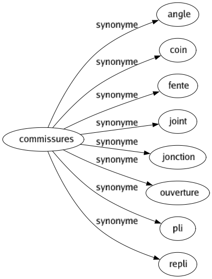 Synonyme de Commissures : Angle Coin Fente Joint Jonction Ouverture Pli Repli 