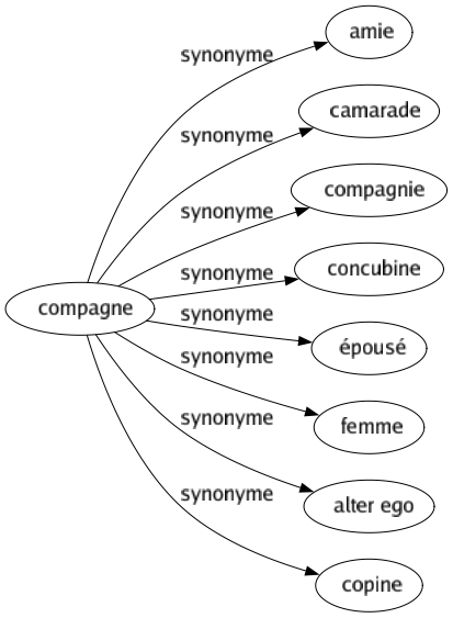 Synonyme de Compagne : Amie Camarade Compagnie Concubine Épousé Femme Alter ego Copine 