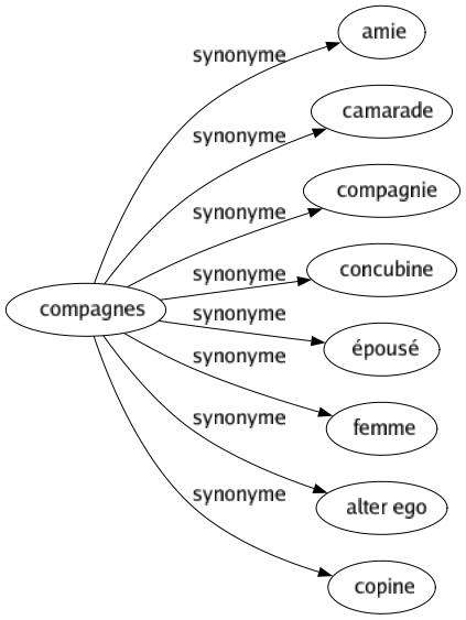 Synonyme de Compagnes : Amie Camarade Compagnie Concubine Épousé Femme Alter ego Copine 