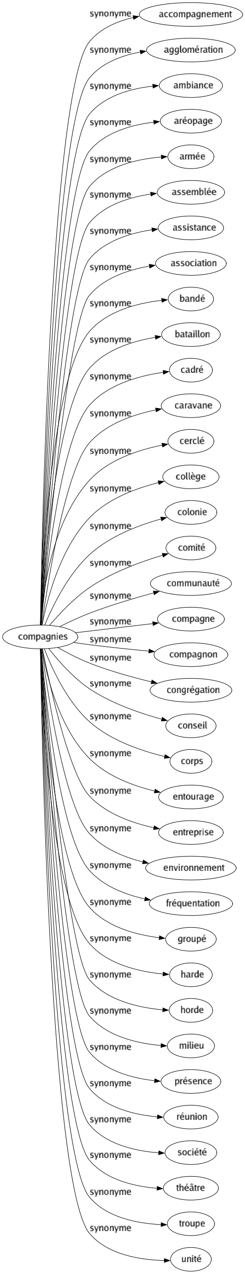 Synonyme de Compagnies : Accompagnement Agglomération Ambiance Aréopage Armée Assemblée Assistance Association Bandé Bataillon Cadré Caravane Cerclé Collège Colonie Comité Communauté Compagne Compagnon Congrégation Conseil Corps Entourage Entreprise Environnement Fréquentation Groupé Harde Horde Milieu Présence Réunion Société Théâtre Troupe Unité 