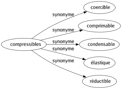 Synonyme de Compressibles : Coercible Comprimable Condensable Élastique Réductible 