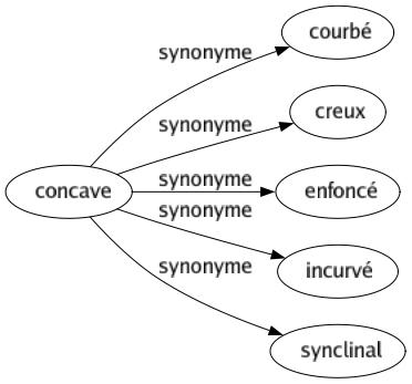 Synonyme de Concave : Courbé Creux Enfoncé Incurvé Synclinal 