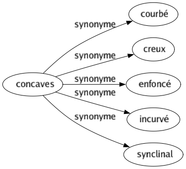 Synonyme de Concaves : Courbé Creux Enfoncé Incurvé Synclinal 