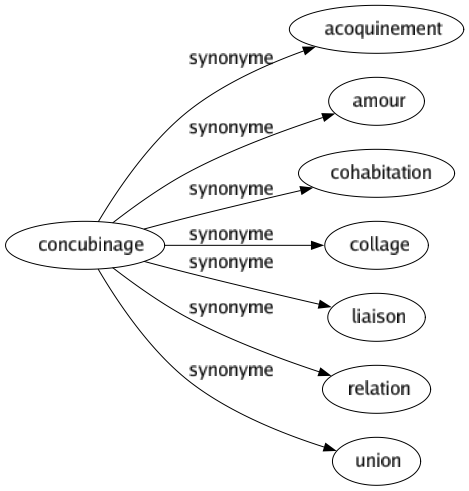 Synonyme de Concubinage : Acoquinement Amour Cohabitation Collage Liaison Relation Union 