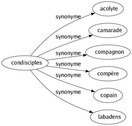 Synonyme de Condisciples : Acolyte Camarade Compagnon Compère Copain Labadens 